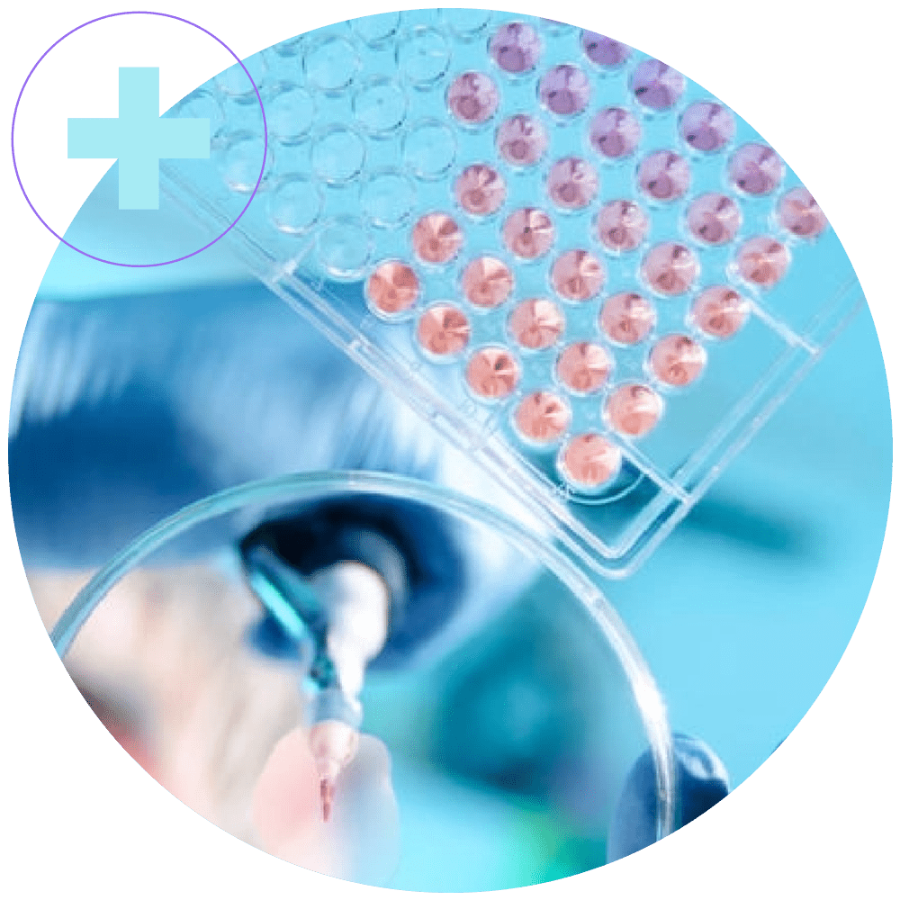Dropping sample on petri dish.