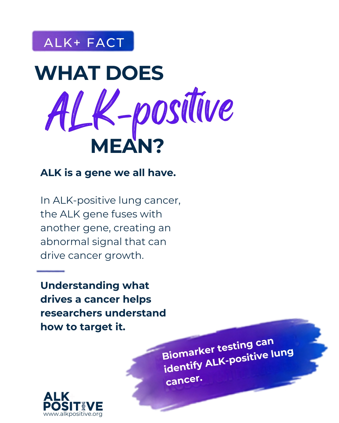 ALK Positive fact graphic explaining what ALK-positive means