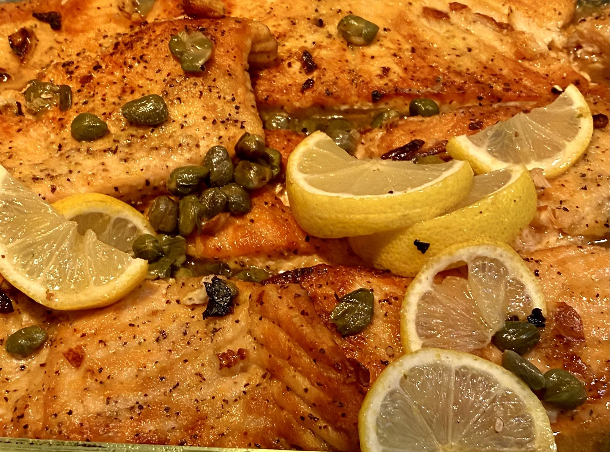 Salmon