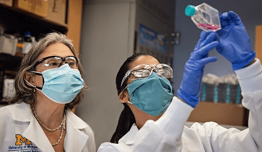 Dr. Sofia Merajver and a student at the Rogel Cancer Center at the University of Michigan look up at cells in medium in the lab.