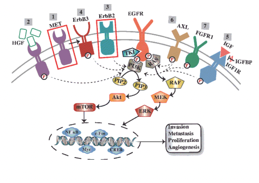 Screen Shot 2019-11-11 at 9.11.22 PM.png