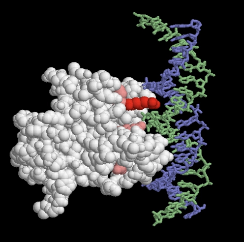 Screen Shot 2019-11-11 at 9.15.40 PM.png