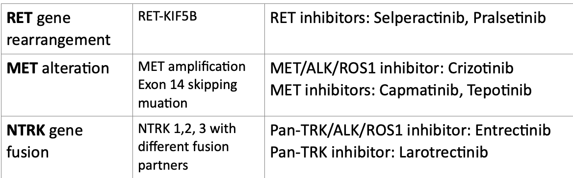Screen Shot 2021-03-16 at 1.47.35 PM.png