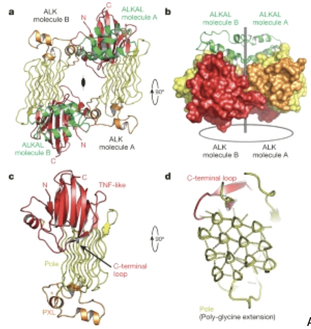 Screen Shot 2022-01-18 at 6.22.53 PM.png